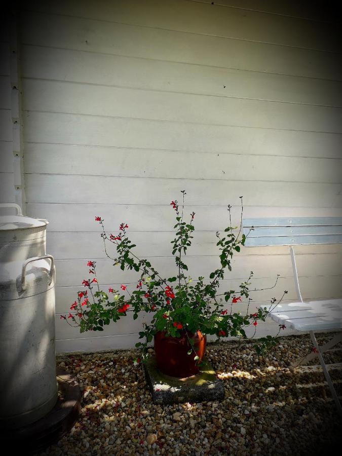 B&B Chez Annie Saint-Martin-de-Gurçon エクステリア 写真